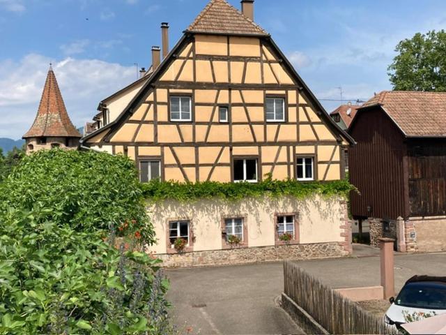 Joli Gite 2 Personnes En Alsace Guémar Dış mekan fotoğraf